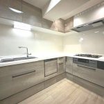 システムキッチン※食器洗浄乾燥機有り(キッチン)